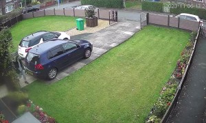 Dog Is Outsmarted By Owner