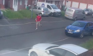 Pigeon Chases Man Down Street