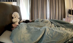 Bichon Frise Says It's Time to Get Up