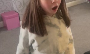 New Spaniel Becomes Bonnie Best Friend