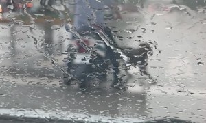 Stray Dog Does Circles Around Motorcycle