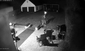 Backyard Fireworks Fiasco