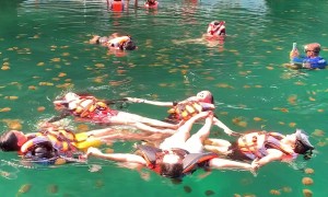 Swirling Swim With Siargao Jellyfish