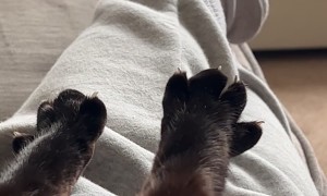 Cuddle Double Big Stretch