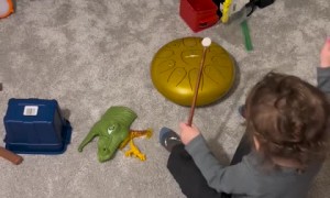 This dramatic cat is an incredible 'actor' 