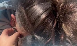 Woman Loves on Her Dying Dog