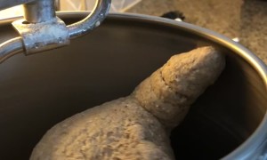 Excited Bread Dough Rises In Mixer
