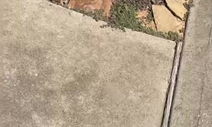 Delivering Packages To Overflowing House