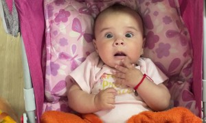 Don't Let Daddy Sing