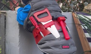 French Bulldog Dresses As Famous Builder