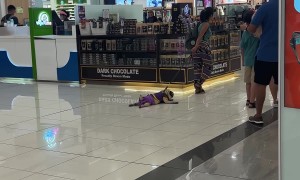 Pug Doesn't Want To Walk Today