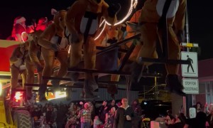 Santa's Reindeer Spread Christmas Cheer at Parade