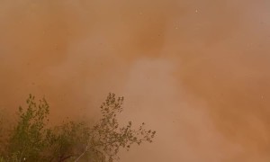 Avalanche At Weeping Rock