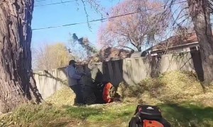 Contention Over Neighbor's Leaf Containment