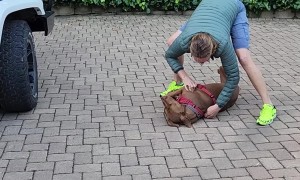 Donut Loves His Nonna