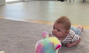 Twerking Llama Toy Entertains At Tummy Time