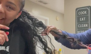 Ponytail Tangles In Home Baker's Hand Mixer