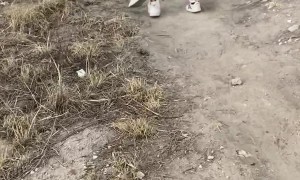 Daughter Doesn't Recognize Dad