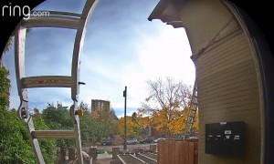 Man Falls From Ladder and Casually Walks Away