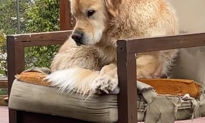 Bailey's Definitely Not Sad