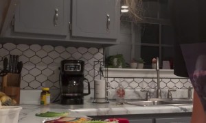 Avocado Pit Sent Flying Into Coffee Carafe