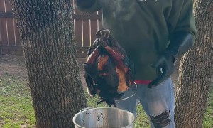 Man Accidentally Drops Smoked Fried Turkey Back Into Hot Oil