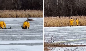 Deer rescued from thin ice in Prior Lake