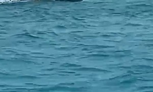 Ferry Capsizes in the Bahamas