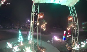 Deer Tries to Take Plastic Reindeer For a Ride