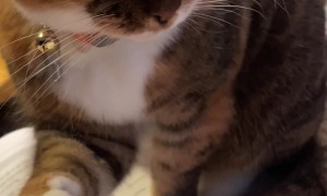 Studying Is Not Allowed