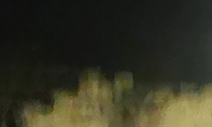 Canadian Couple Find Giant Crow Gathering