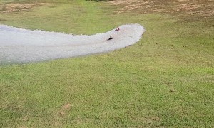 Alabama Surfing A Broken Swimming Pool Wave