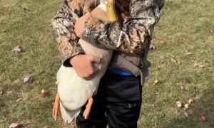Son Loves His Pet Duck