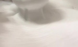 Toilet filled the bathroom with foam after it malfunctioned