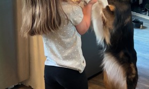 Girl Sweetly Serenades Dog