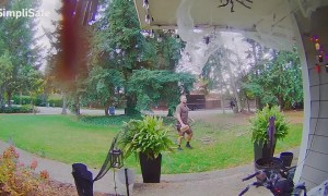 Jumping Spider Decoration Spooks Delivery Man
