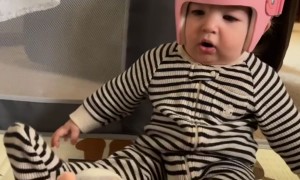 Baby Stunned by Talking Hamster Toy