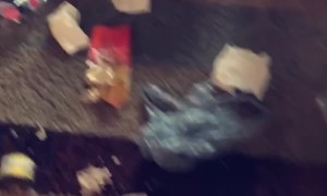 Dog Knows Did Wrong but Is Still Happy to See Owner