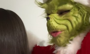 Grinch's Kiss Gets Refused