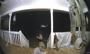 Dog Gets A Free Rollercoaster Ride Down The Stairs