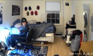 Kitten Full Of Chaos