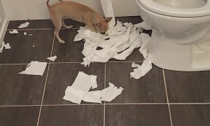 Clara Creates Her Own Confetti