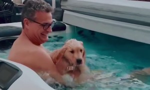 Brave Puppy Jumps Into Hot Tub