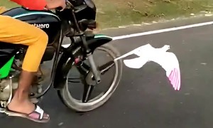 Bird Takes a Liking to Motor Biker