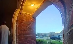 Overenthusiastic Dog Greets Owner