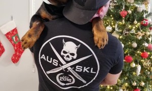 Comforting Your Big Bad Rottweiler After a Chihuahua Snapped at Him