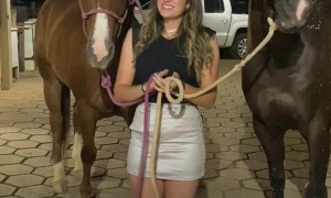 The Love Of An Equine Friend