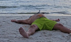 Catching Seagulls With Dorito Bait