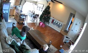 Mom Accidentally Sets Her Hair on Fire