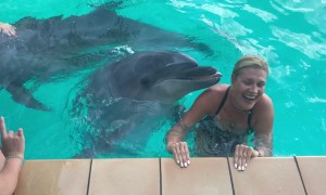 Dolphin Elated By Kisses